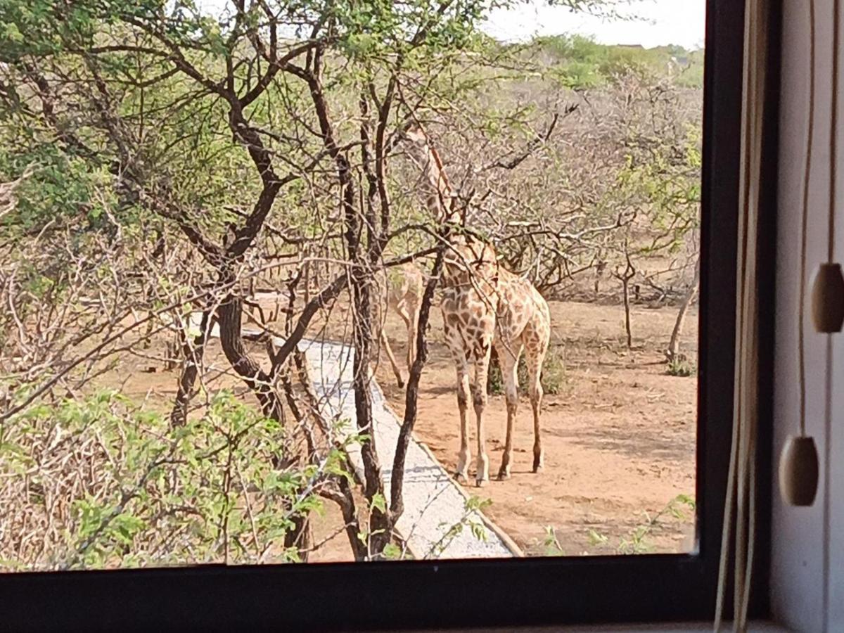 Appartamento Marloth Kruger View Marloth Park Esterno foto