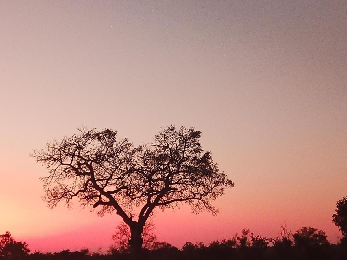 Appartamento Marloth Kruger View Marloth Park Esterno foto