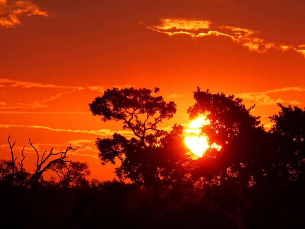 Appartamento Marloth Kruger View Marloth Park Esterno foto